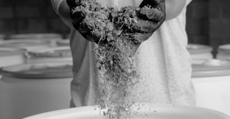 non-hazardous cannabis waste