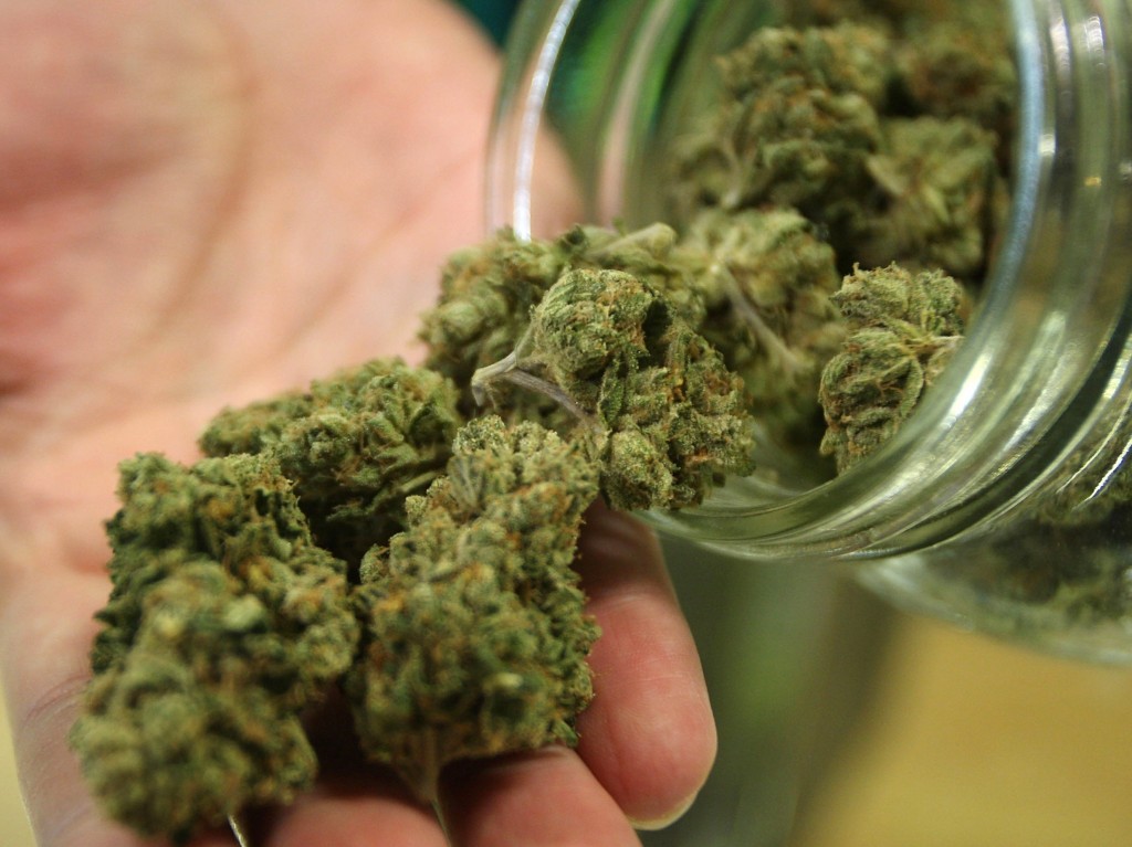 cannabis