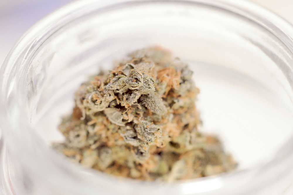 cannabis waste disposal