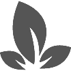Santa Rosa