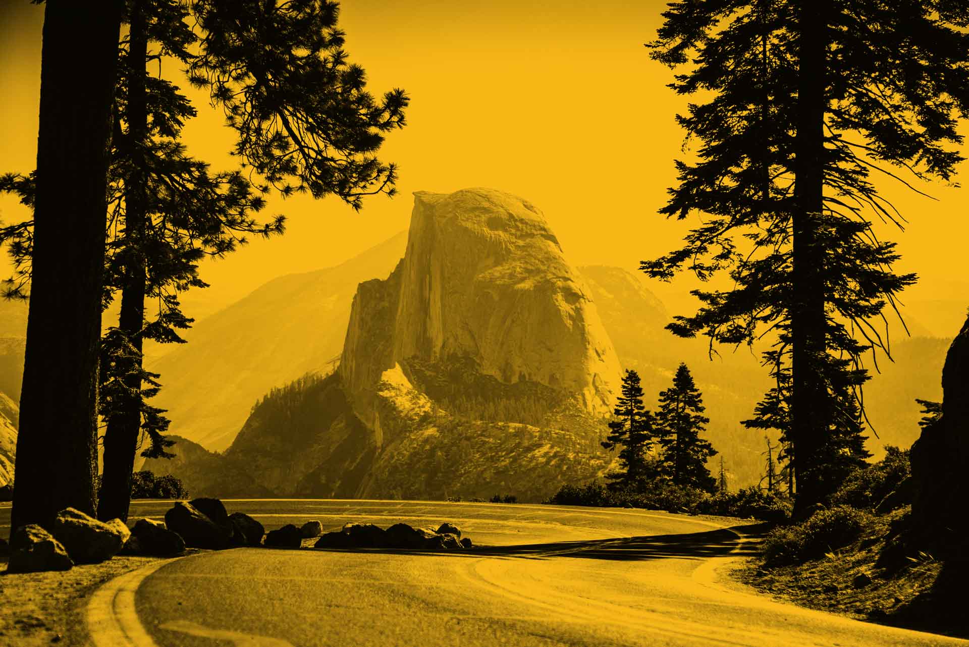 Bureau of Cannabis Control (BCC) (Retailers, Distributors, Testing Laboratories)