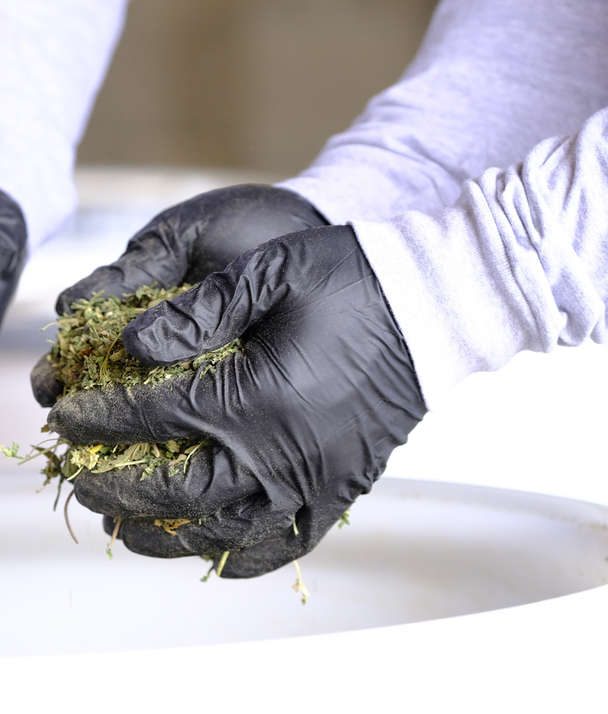 environmental consulting industrial hygiene non-hazardous cannabis waste