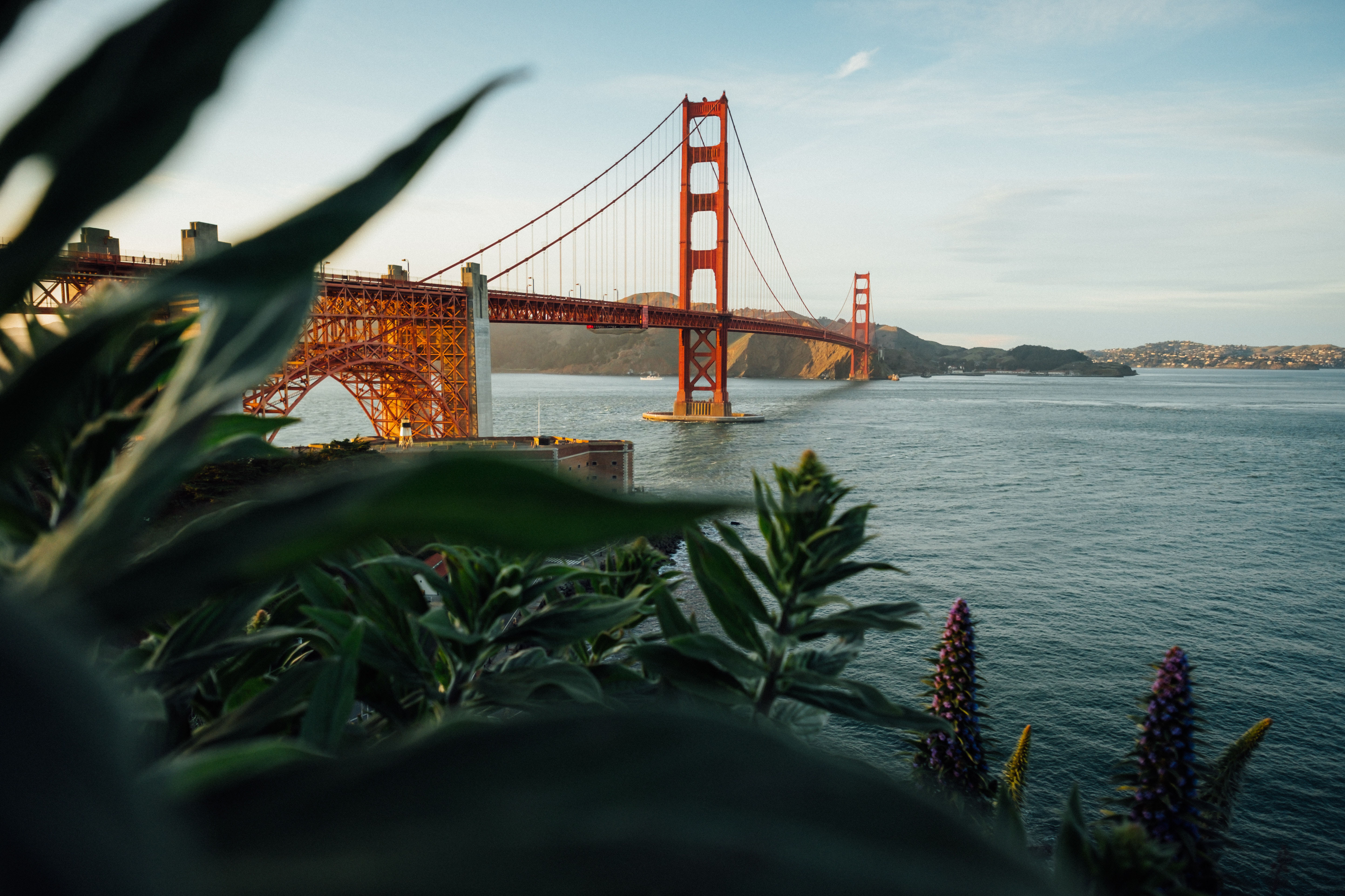 Cannabis Business Calendar: ICBC in San Francisco 2019