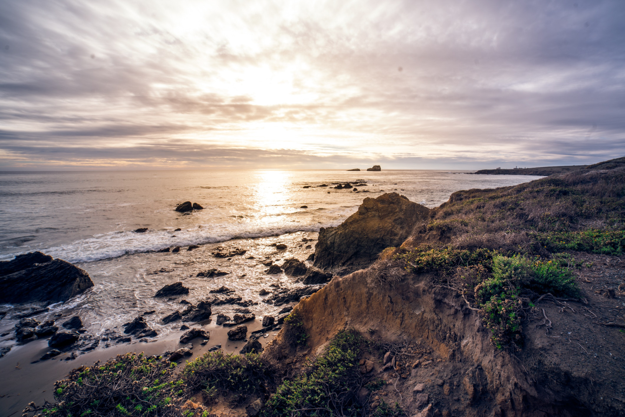 Cannabis Waste Collection Services in California: GAIACA Services And Review