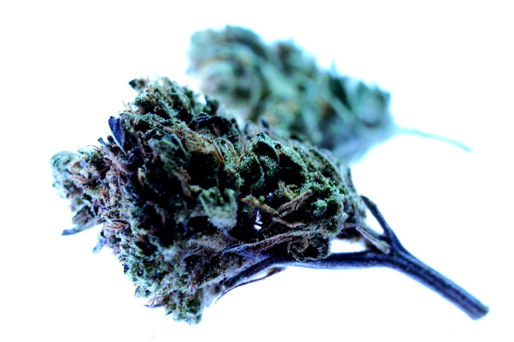 What Does Unusable and Unrecognizable Mean When Discarding Cannabis Waste
