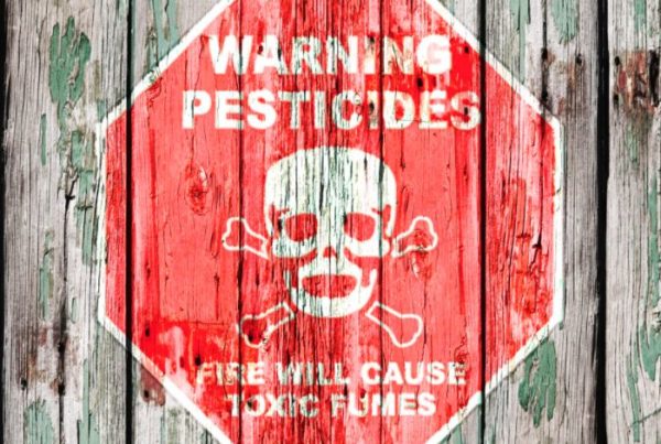 how to get rid of pesticides